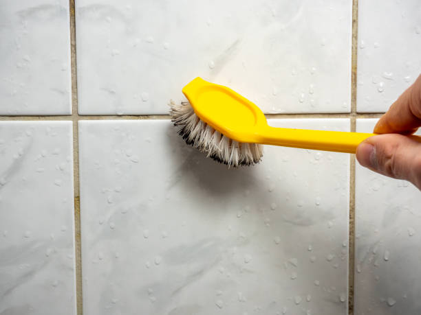 Best Emergency Mold Removal  in Newville, PA